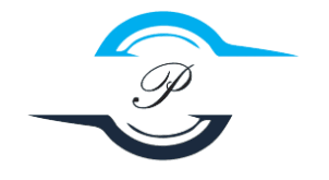 Platinum Digital Services LLC